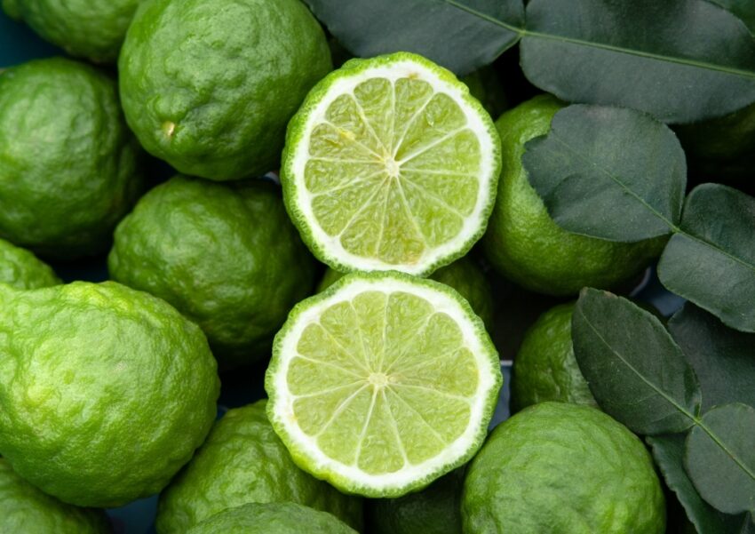 Bergamotte, Citrus bergamia