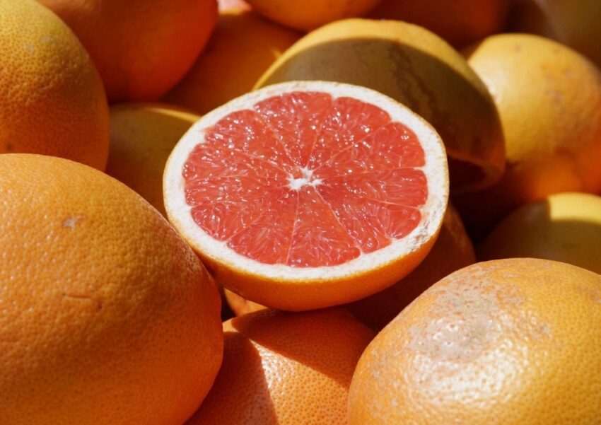 Grapefruit, Paradiesapfel, Citrus paradisi
