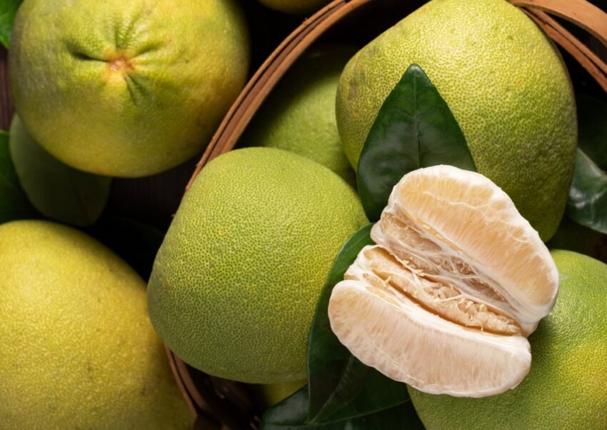 Pampelmuse, Pomelo, Citrus maxima
