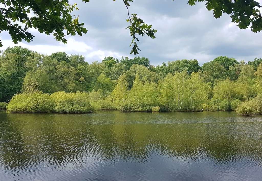 Eppendorfer Moor, Teich