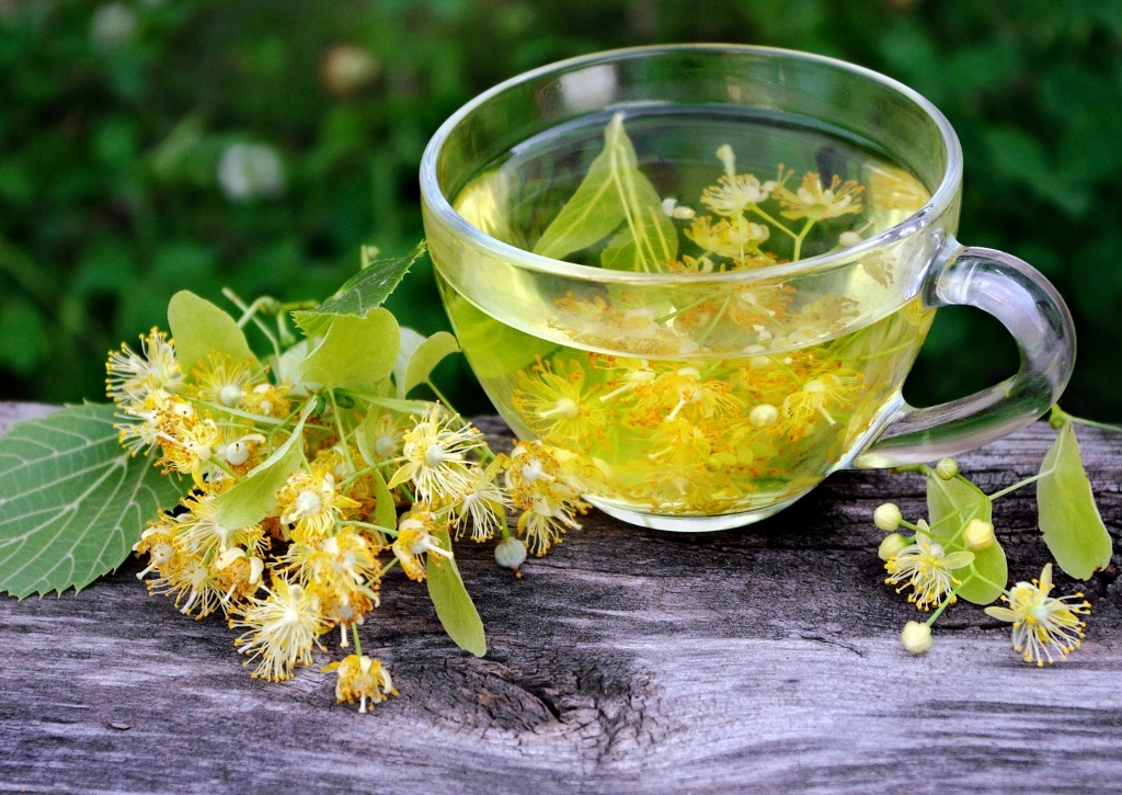 Hausmittel gegen Husten, Lindenblüten