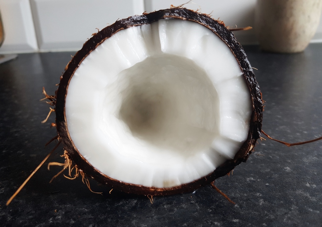 Kokosnuss, Cocos nucifera