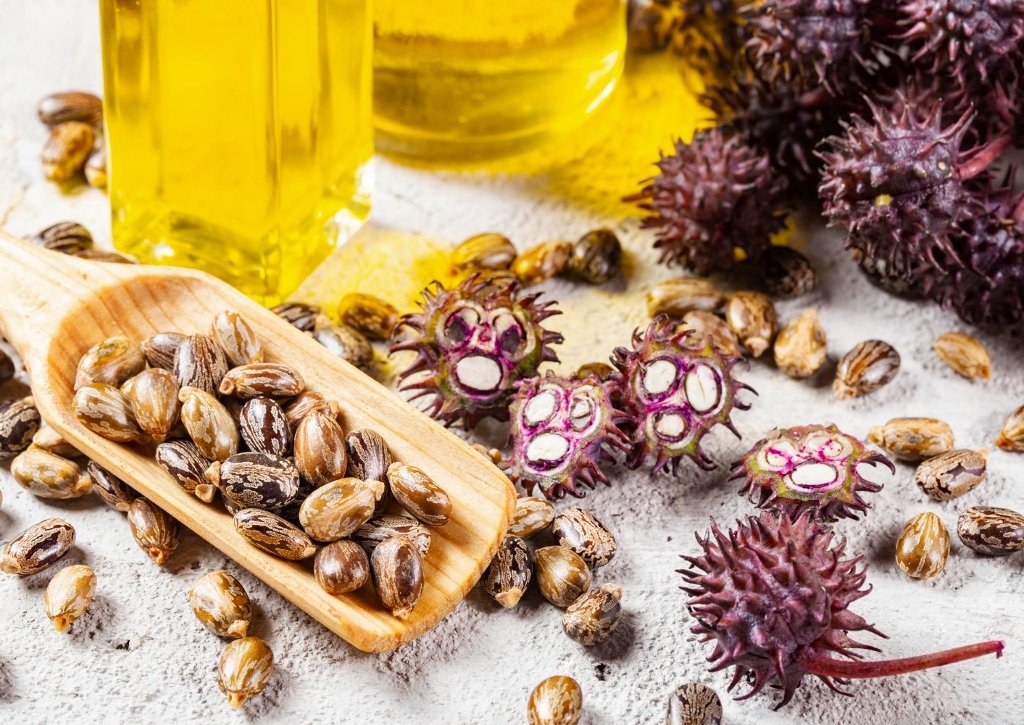 Rizinusöl, Castor Oil, Oleum ricini