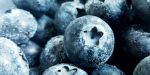 Blaubeere, Blaubeeren, Heidelbeeren, Heidelbeere, Blaubeeren, Blaubeere, Beeren, Beere, Beerenfrüchte, Berenkräuter,